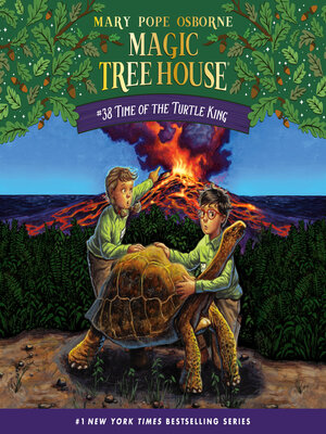 cover image of Time of the Turtle King